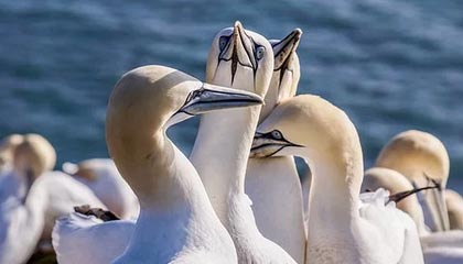 星空电竞平台官网-收获迷弟一枚!开拓者官方晒夏普与小男孩互动视频