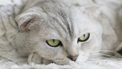 星空电竞官方网站-星空.综合体育(中国)官方网站——开启你的运动新纪元