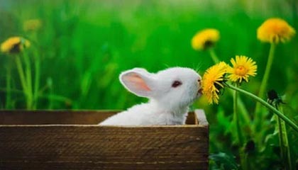 星空电竞-MK体育APP：让运动的每一刻都被看见